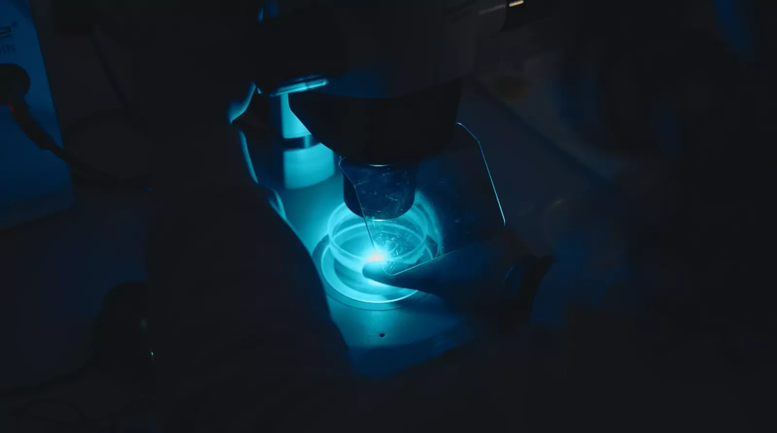 Fluorescence microscopy